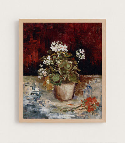 STILL LIFE POT OF GERANIUMS