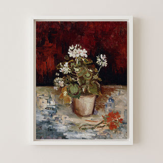 STILL LIFE POT OF GERANIUMS