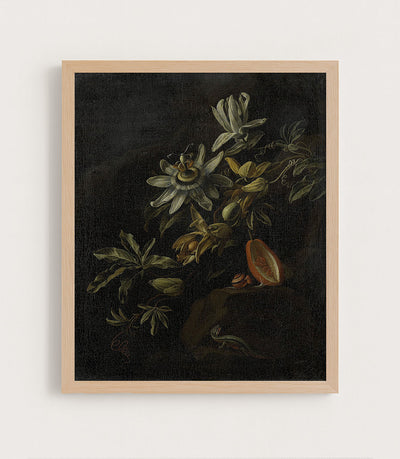 Still Life with Passionflowers