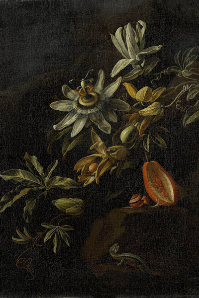 STILL LIFE WITH PASSIONFLOWERS - Museum Quality Art