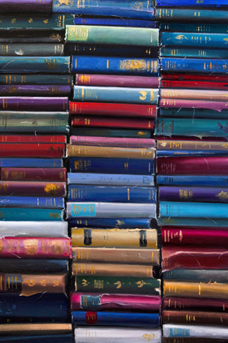 STORIES AND BATTLES WHILE FACING A GIANT