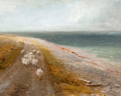 STRAY SHEEP