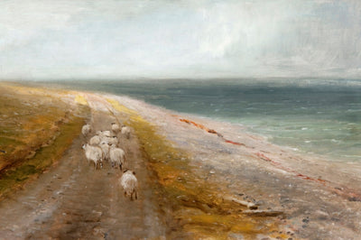 STRAY SHEEP
