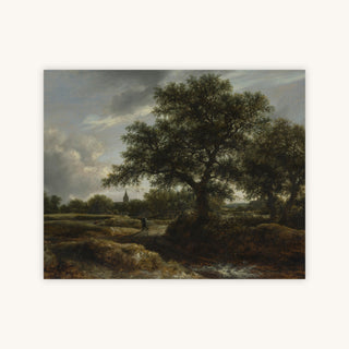 STREAM CROSSING — Primary Image