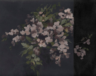 Studio Soiree No. 5