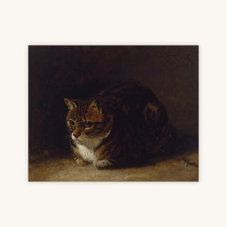 STUDY OF A CAT — Primary Image