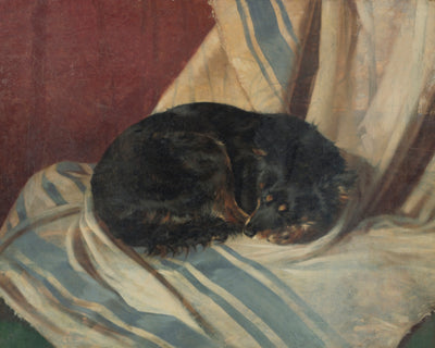 Study of a Dog Lying Down
