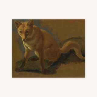 STUDY OF A FOX — Primary Image