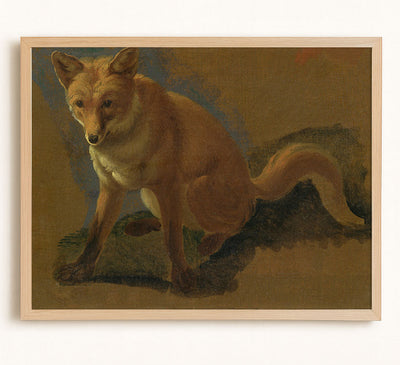 STUDY OF A FOX - Museum Quality Art