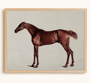 STUDY OF A HORSE - Museum Quality Art