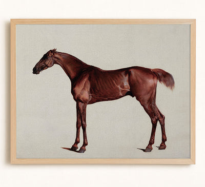 STUDY OF A HORSE - Museum Quality Art