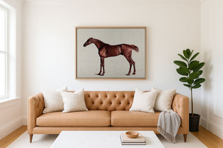 STUDY OF A HORSE - Museum Quality Art