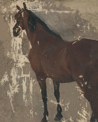 Study of a Horse