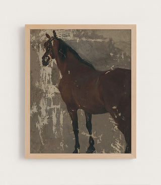 Study of a Horse