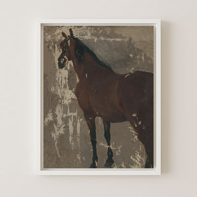 Study of a Horse