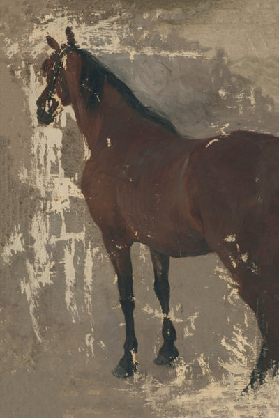 Study of a Horse