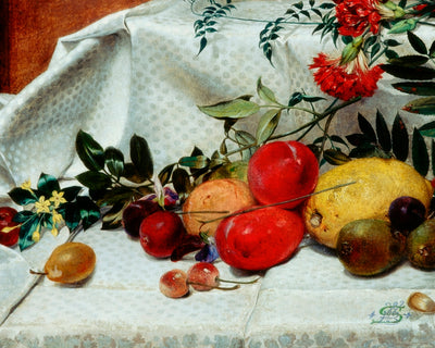 STUDY OF FLOWERS AND FRUIT
