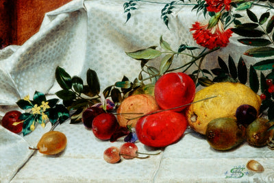 STUDY OF FLOWERS AND FRUIT