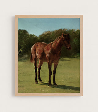 Study of Horse