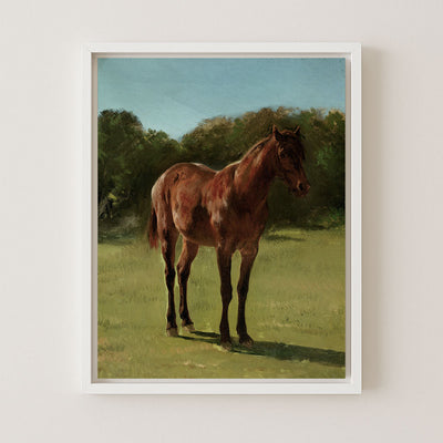 Study of Horse