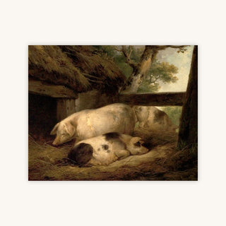 STUDY OF PIGS — Primary Image