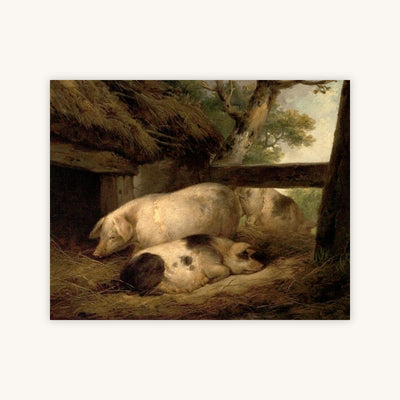 STUDY OF PIGS — Primary Image