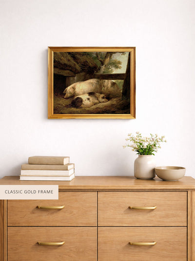 Study of Pigs