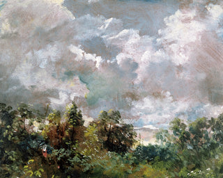 STUDY OF SKY AND TREES