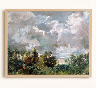Study of Sky and Trees