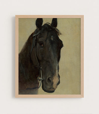 STUDY OF THE HEAD OF A BLACK HORSE - Museum Quality Art
