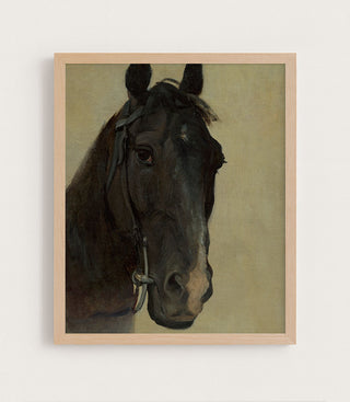 STUDY OF THE HEAD OF A BLACK HORSE - Museum Quality Art