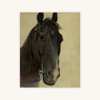 Study of the Head of a Black Horse — Primary Image