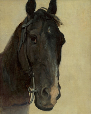 Study of the Head of a Black Horse