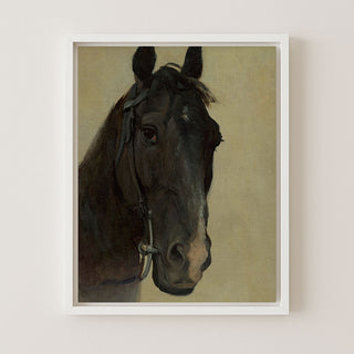 STUDY OF THE HEAD OF A BLACK HORSE - Museum Quality Art