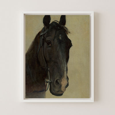 STUDY OF THE HEAD OF A BLACK HORSE - Museum Quality Art