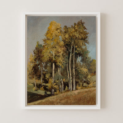 Study of Trees