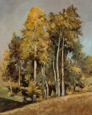 Study of Trees