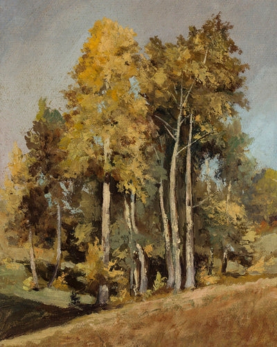 Study of Trees