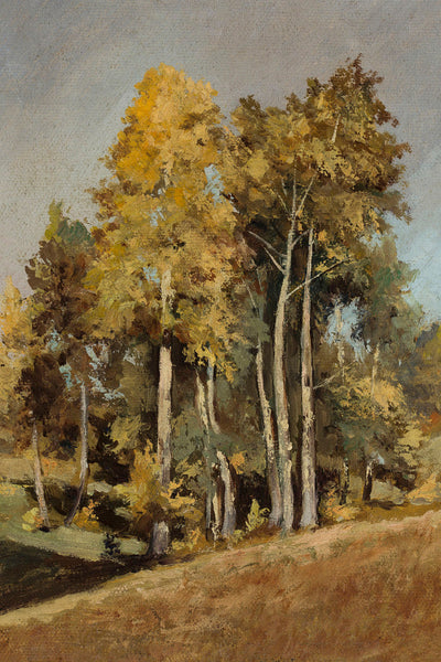 Study of Trees