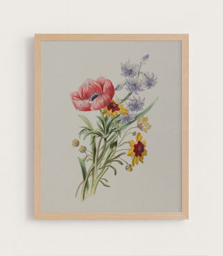 Study of Wildflowers