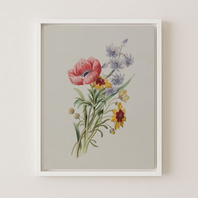 Study of Wildflowers