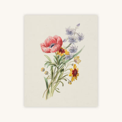 STUDY OF WILDFLOWERS — Primary Image