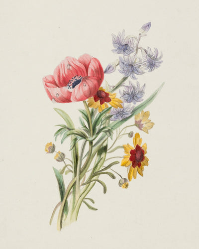 STUDY OF WILDFLOWERS