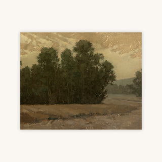 SUCH WILD LOVE — Primary Image