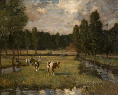 Suffolk Water Meadows