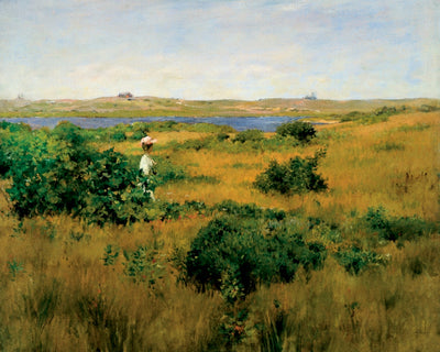 Summer at Shinnecock Hills