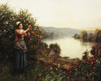 Summer Blossoms