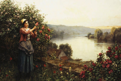 Summer Blossoms