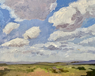 SUMMER CLOUD STUDY