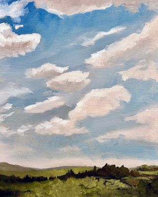 SUMMER CLOUD STUDY
